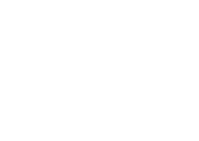 The Ritz Carlton
